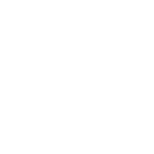 chess-pieces-knight-white